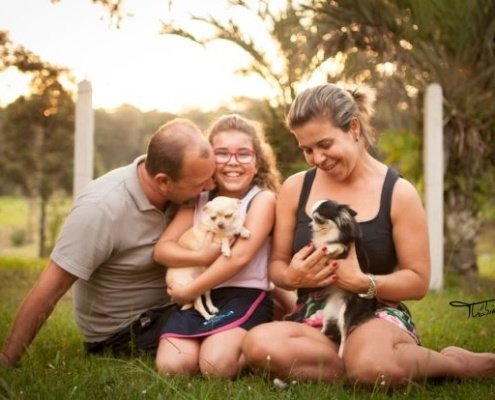 Fotos de família com seus pets