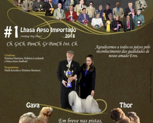 Arte digital, anúncio, fotografia de estimacao